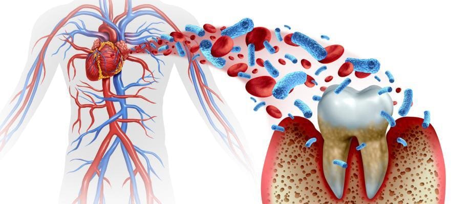 cardiovascular health