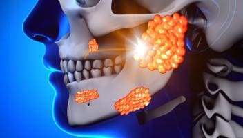 salivary glands