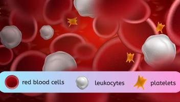 blood components