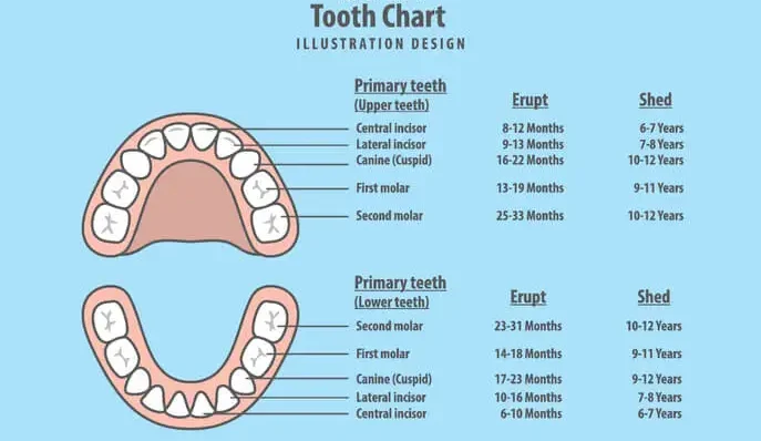 delayed tooth eruption