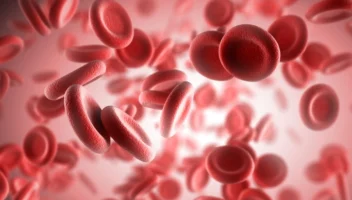 red blood cells