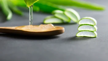 aloe vera