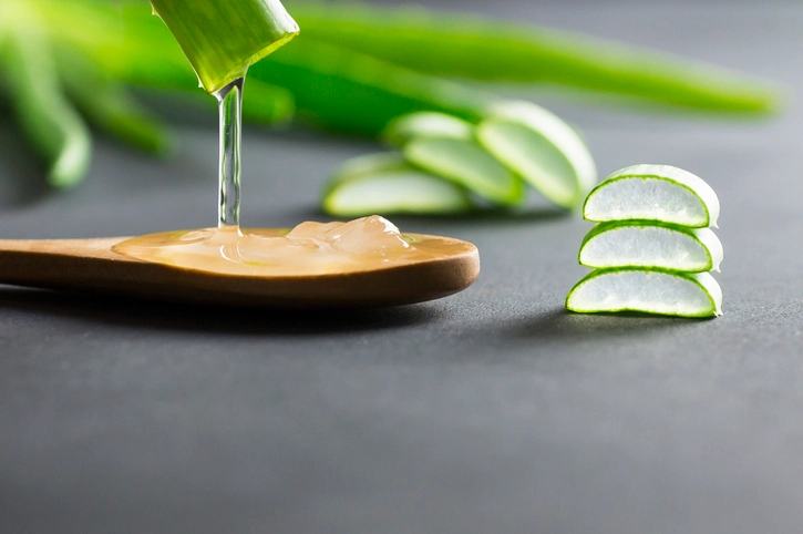 aloe vera