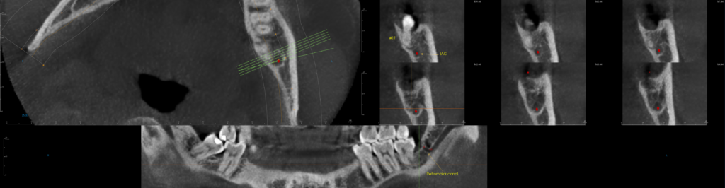 Details Image