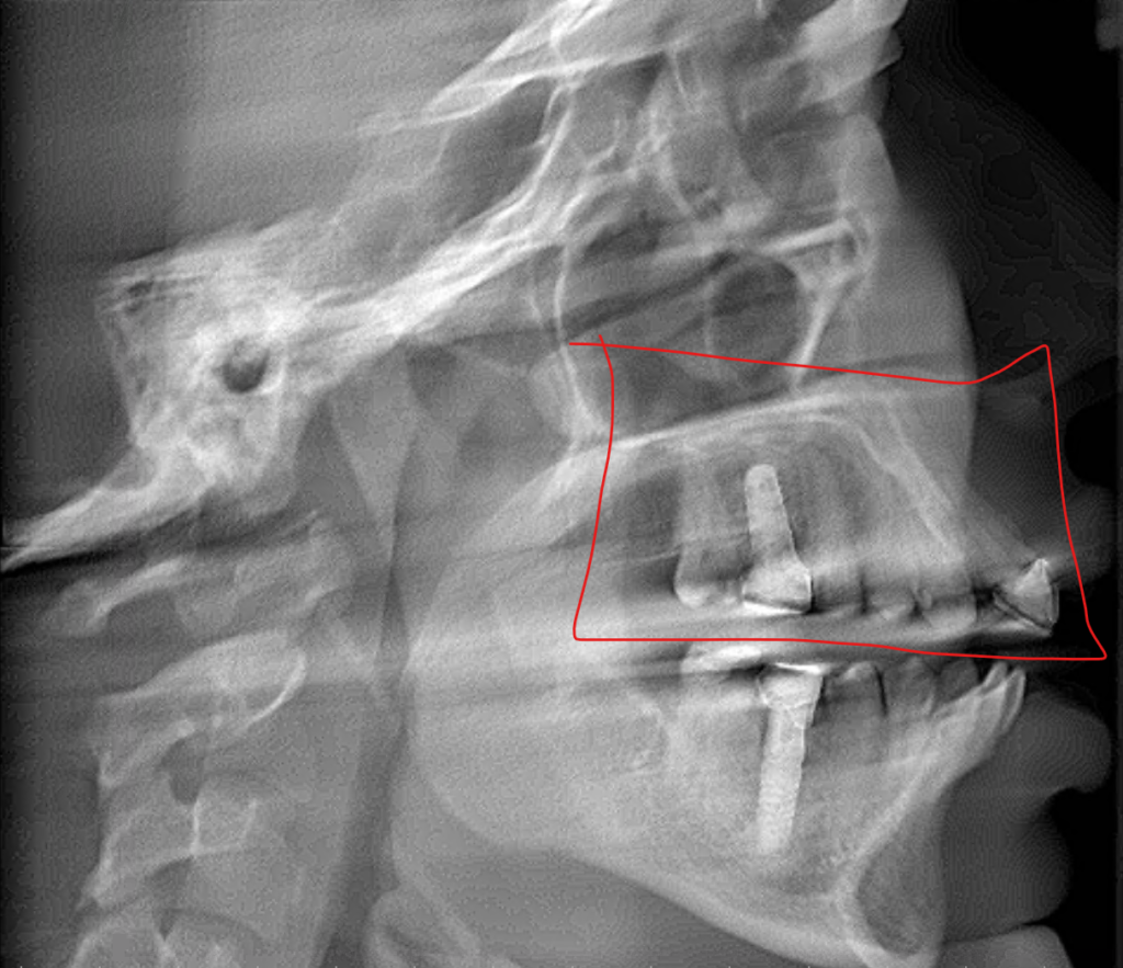 Details Image